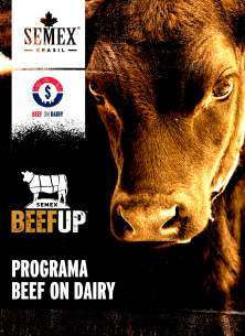 Catálogo Catalogo Beef On Dairy