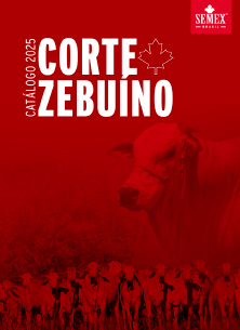 Catálogo Catálogo Zebu 2024-2025