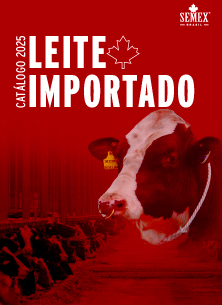 Catálogo Catálogo Holandês e Jersey